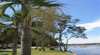 Pelican Park