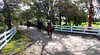 Academy Equestrian in the Hills