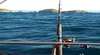 Burrill Lake Cruises and Fishing Charters