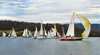 Cygnet Regatta
