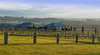 Cupitts Winery