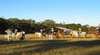Valhalla Horseriding and Farm Holidays