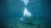 Manta Ray Bay Dive Site