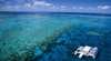 Agincourt Reef