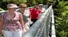 Illawarra Fly Treetop Walk