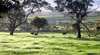 Bellevue Farmstay