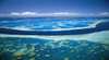 Hardy Reef