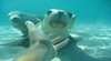Adventure Bay Charters