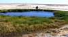Wabma Kadarbu Mound Springs Conservation Park