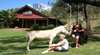 Destiny Boonah ECO Cottage and Donkey Farm