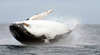 Ballina Ocean Tours