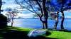 Swan Bay Hideaway