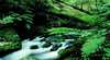 New England National Park