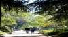 Cook Park Heritage Walk