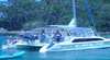 Beach Daze Charters and Tours