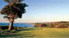 Mornington Golf Club