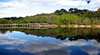 Platypus Eco Tours