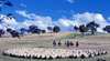 Jackaroo Jillaroo Australia