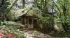 Dandenong Ranges Open Studios