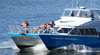 Coolangatta Whale Watch