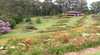 Rose Patch Bed and Breakfast
