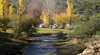 Bright Riverside Holiday Park