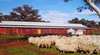 Savernake Eco Heritage Day Tours