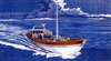 Southern Fleurieu Fish