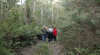 Great Western Tiers Forest Walks Tasmania