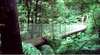 Tarra Valley Rainforest Retreat