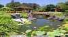 Gosford Edogawa Commemorative Garden