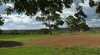Queensland Festival of the Horse QR Thoroughbred Stud Tours