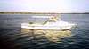 Tory M Fishing Charters