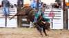 Mary Valley Show Rodeo and Woodchop