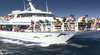 Captain Cook Cruises - Whale Watching Cruises