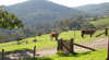 Buchan Farmhouse Accommodation