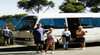 Sydney Tours R Us