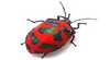 Bugs Alive!
