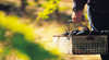 The Barossa Collection - Retail Trail