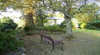 Tarra-Bulga Guest House