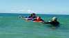 Port Macquarie Surf School