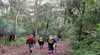 Spicers Private Walks, Maryvale, Queensland