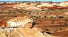 Anna Creek Painted Hills