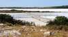 Caring for Country: Restoring Land and Cultural Understanding - an Ecological Restoration Workshop of the Coorong