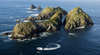 Bruny Wildlife Adventure