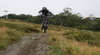 Bike Buller