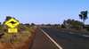 Paperbark Tours