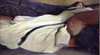 American Impressionism and Realism: A Landmark Exhibition from The Met, The Metropolitan Museum of Art, New York