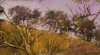 Graham Lupp Gallery