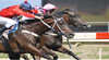 Yarra Valley Food & Wine Race Day